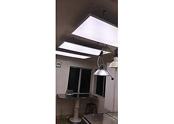 Downey Veterinary Clinics Above & Beyond Pet Care Clinic