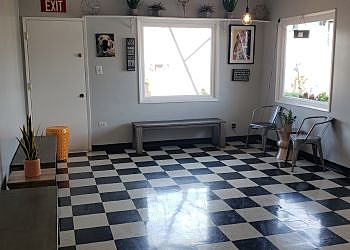 Downey Veterinary Clinics Above & Beyond Pet Care Clinic