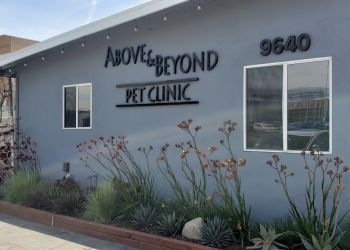 Above & Beyond Pet Care Clinic