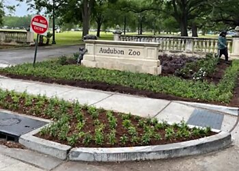 New Orleans Landscaping Companies Absolute Landscaping