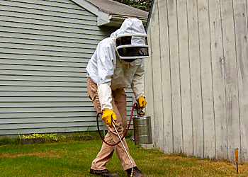 Albany Pest Control Companies Absolute Pest Control