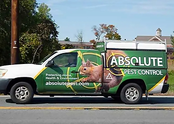 Absolute Pest Control  Albany Pest Control Companies image 1