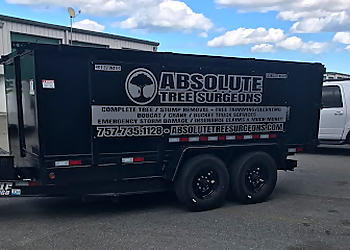 Absolute Tree Surgeons, LLC  Chesapeake Tree Services image 1