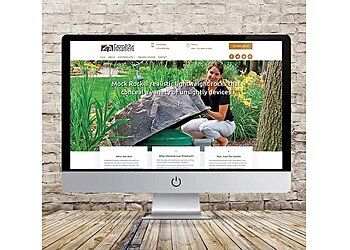 Madison Web Designers Accent Graphix Design Studio