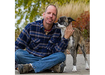 Aurora Handyman Accurate Home Repair