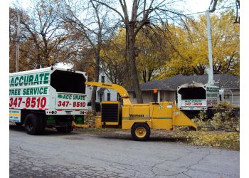 Accurate Tree Service & Stump Grinding LLC