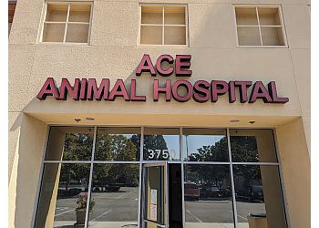 Ace Animal Hospital Fremont Veterinary Clinics