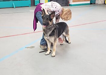 Albuquerque Dog Training Acoma Training Center