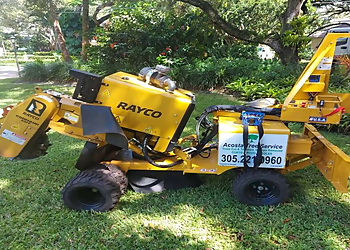 Acosta Tree Service Miami Tree Services image 1