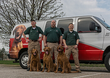 3 Best Pest Control Companies in Evansville, IN - Expert Recommendations