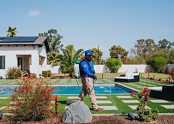 Phoenix Pest Control Companies Action Termite & Pest Control