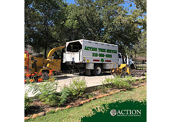 San Antonio tree service Action Tree Service