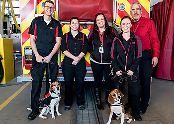 Rochester Pest Control Companies Adam's Pest Control, Inc.