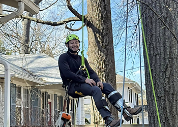 Washington Tree Services Adirondack Tree Experts