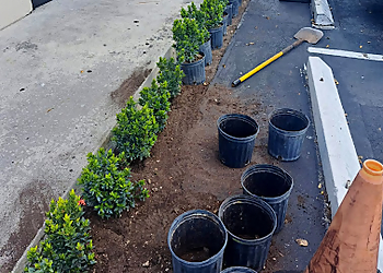 Miramar Landscaping Companies Adorno Landscaping