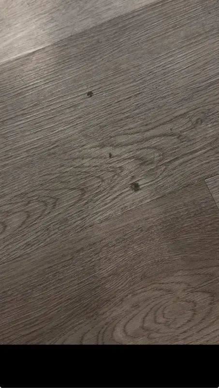 Advance House Cleaning review image 1