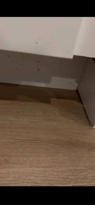 Advance House Cleaning review image 2