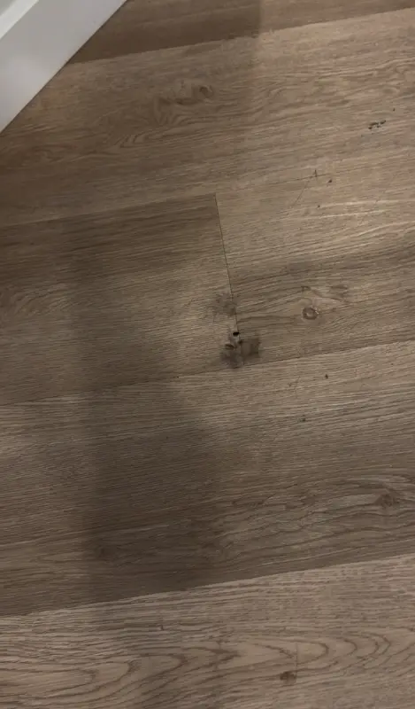 Advance House Cleaning review image 3