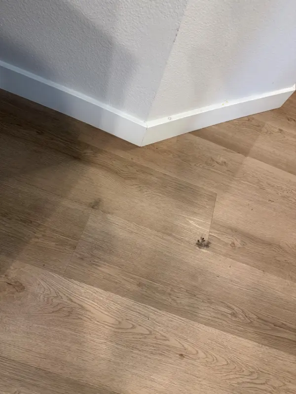 Advance House Cleaning review image 5
