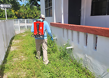 Hollywood Pest Control Companies Advance Solutions