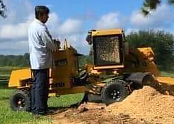 Jackson Tree Services Advance Tree Care