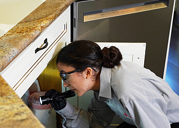 Roseville Pest Control Companies Advanced Integrated Pest Management