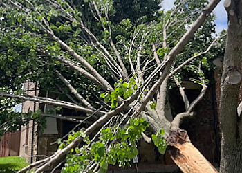 McKinney Tree Services Advanced Tree & Shrub Care, Inc.