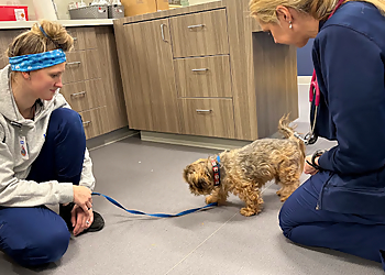 Advanced Veterinary Care of Olathe - Olathe, KS Veterinary Clinics - Healthcare Facility Image