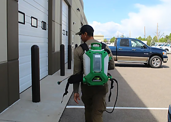 Denver Pest Control Companies Advantage Pest Management