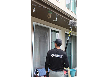 Denver Pest Control Companies Advantage Pest Management