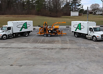 Advantage Tree Service Albany Tree Services image 1