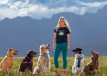 Adventure Pups LLC - Colorado Springs, CO Dog Walkers - Professional Highlights