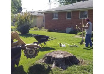Affordable Stump and Tree Removal