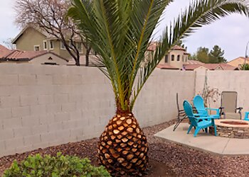 Chandler Tree Services Affordable Stump and Tree Service