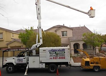 Affordable Tree Service Las Vegas Tree Services