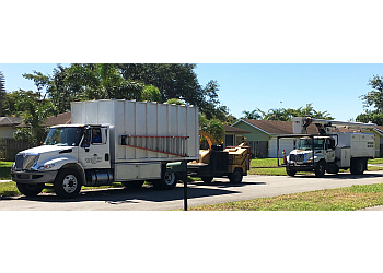 3 Best Tree Services In Miami Fl Expert Recommendations 3 Best Tree Services In Miami Fl