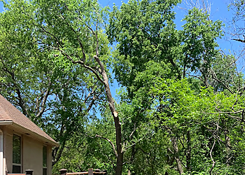 Norman Tree Services Affordable Tree Service, LLC