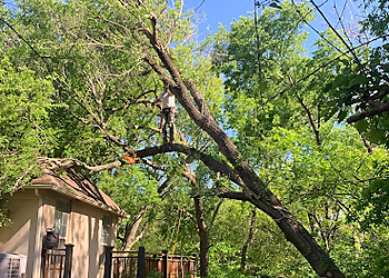 Affordable Tree Service, LLC Norman Tree Services image 1