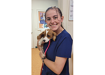 Columbus Veterinary Clinics Affordable Veterinary Services