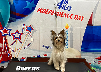 Moreno Valley Pet Grooming Agape Dog Grooming LLC