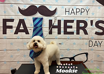 Moreno Valley Pet Grooming Agape Dog Grooming LLC