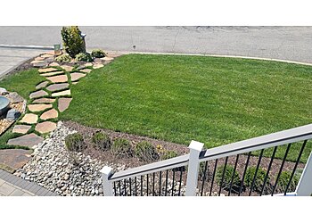 Virginia Beach Lawn Care Services Agronomic Lawn Management