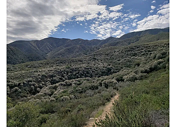 Temecula Hiking Trails Agua Tibia Wilderness