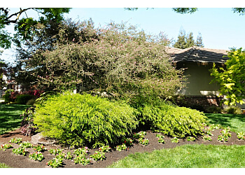 Modesto Landscaping