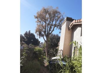 Aguilar Tree Trimming Santa Clarita Tree Services