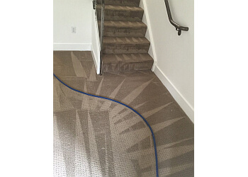 3 Best Carpet Cleaners in Omaha, NE - Expert Recommendations