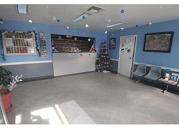 Airport Animal Hospital - Fullerton, CA Veterinary Clinics - Medical Procedure Image