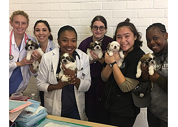 Airport Cities Animal Hospital - Inglewood, CA Veterinary Clinics