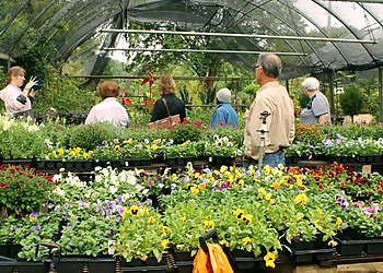 Shreveport Landscaping Companies Akin's Nursery & Landscaping, LLC