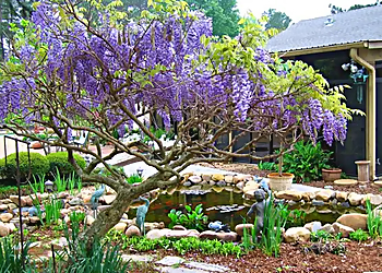 Akin's Nursery & Landscaping, LLC Shreveport Landscaping Companies image 1
